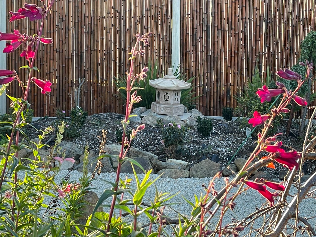 Japanese Lantern