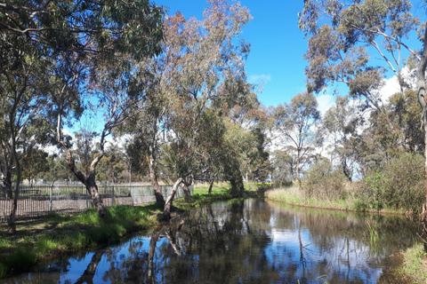 Kaniva Wetlands and Fauna Park