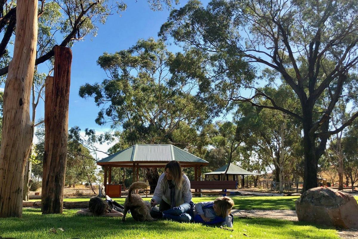 Lawn and picnic area