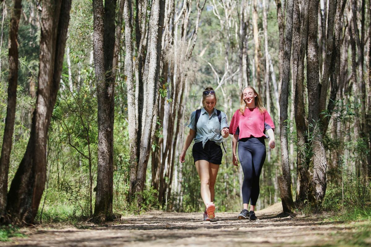 Walking on Kendalls Link Track