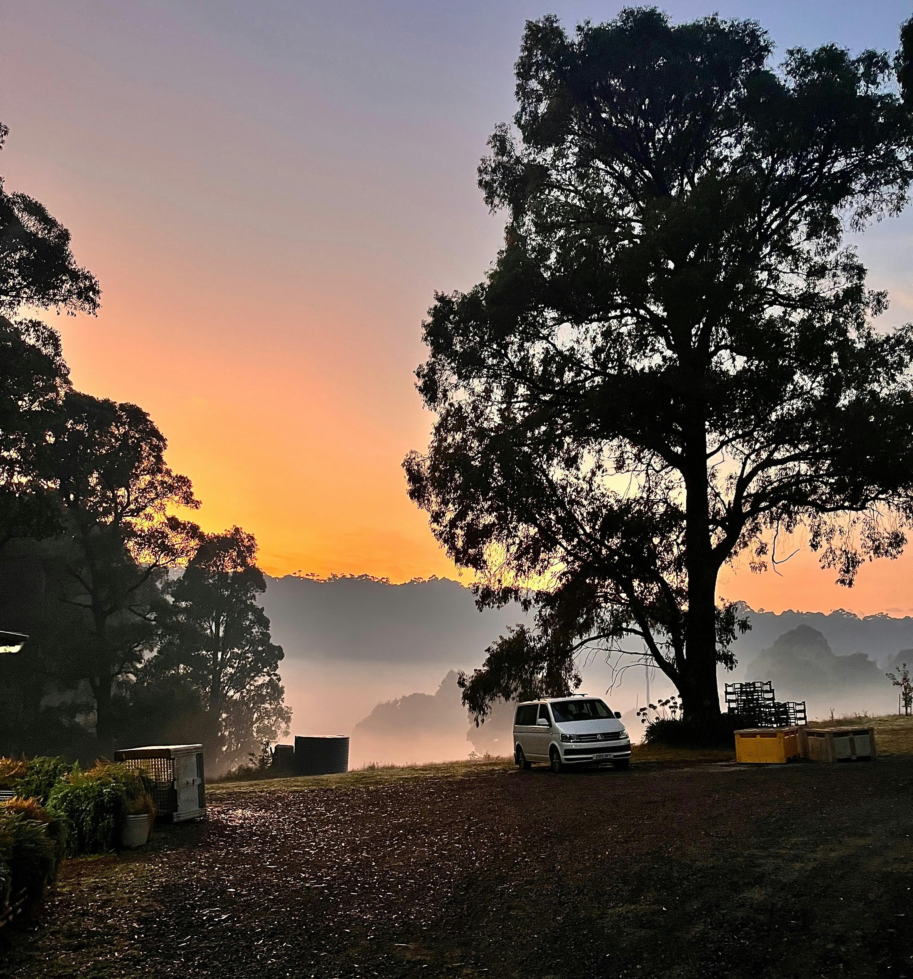 Sunrise at Kinglake Distillery
