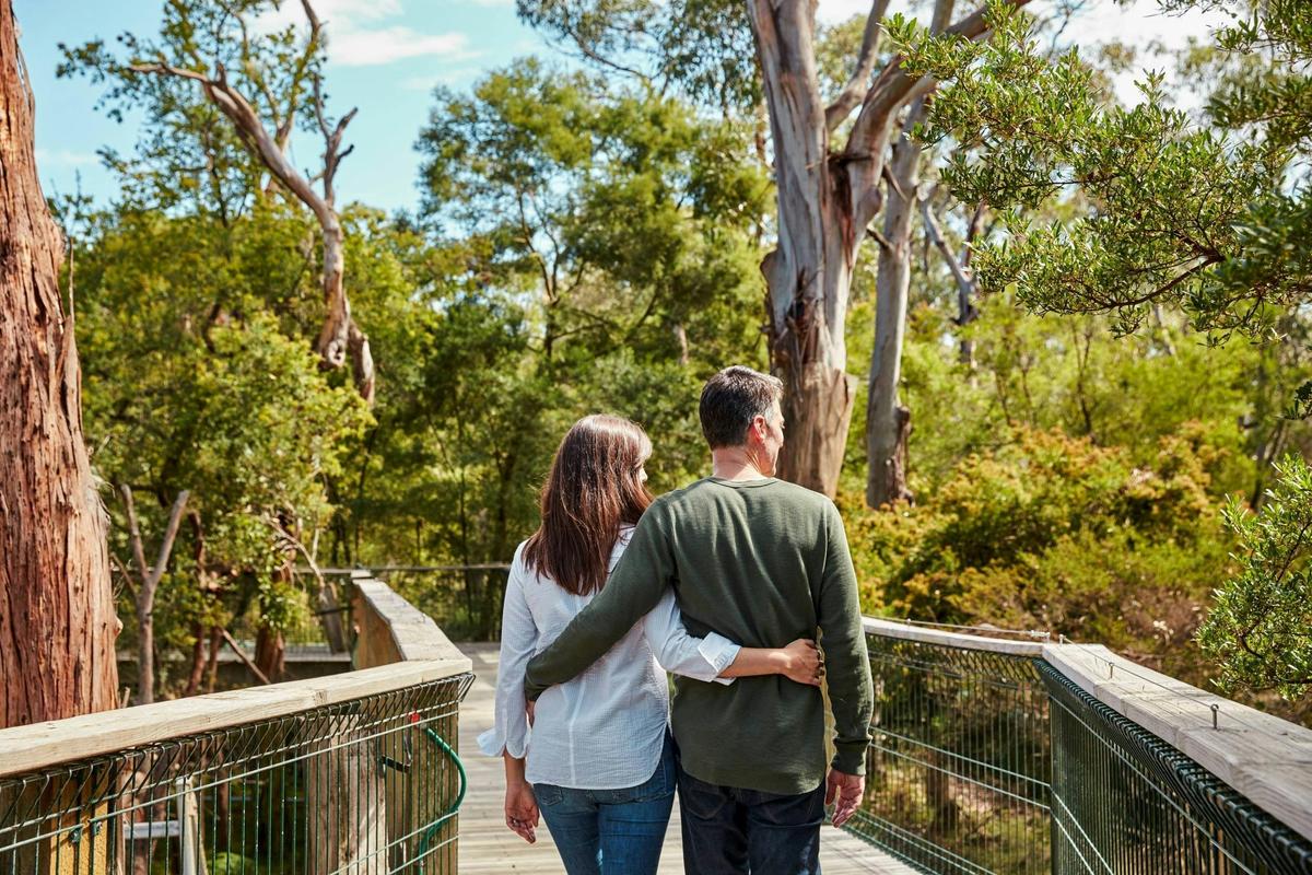 Koala Conservation Reserve Boardwalks