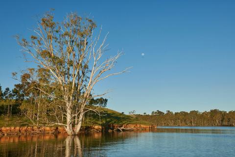 Lake Eppalock