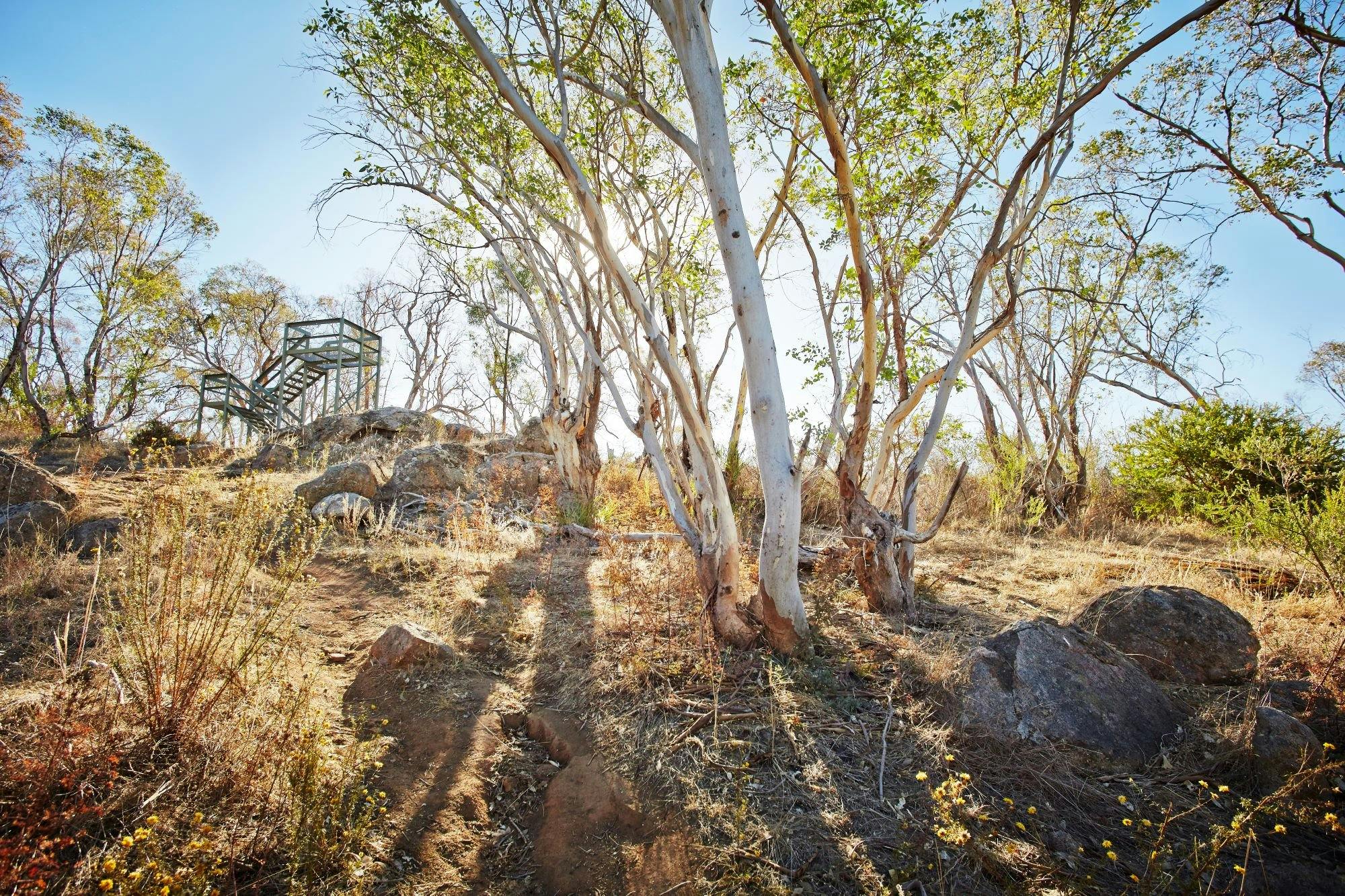 Ryans Lookout Warby Ovens National Park