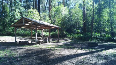 Latrobe River Campground and Walk