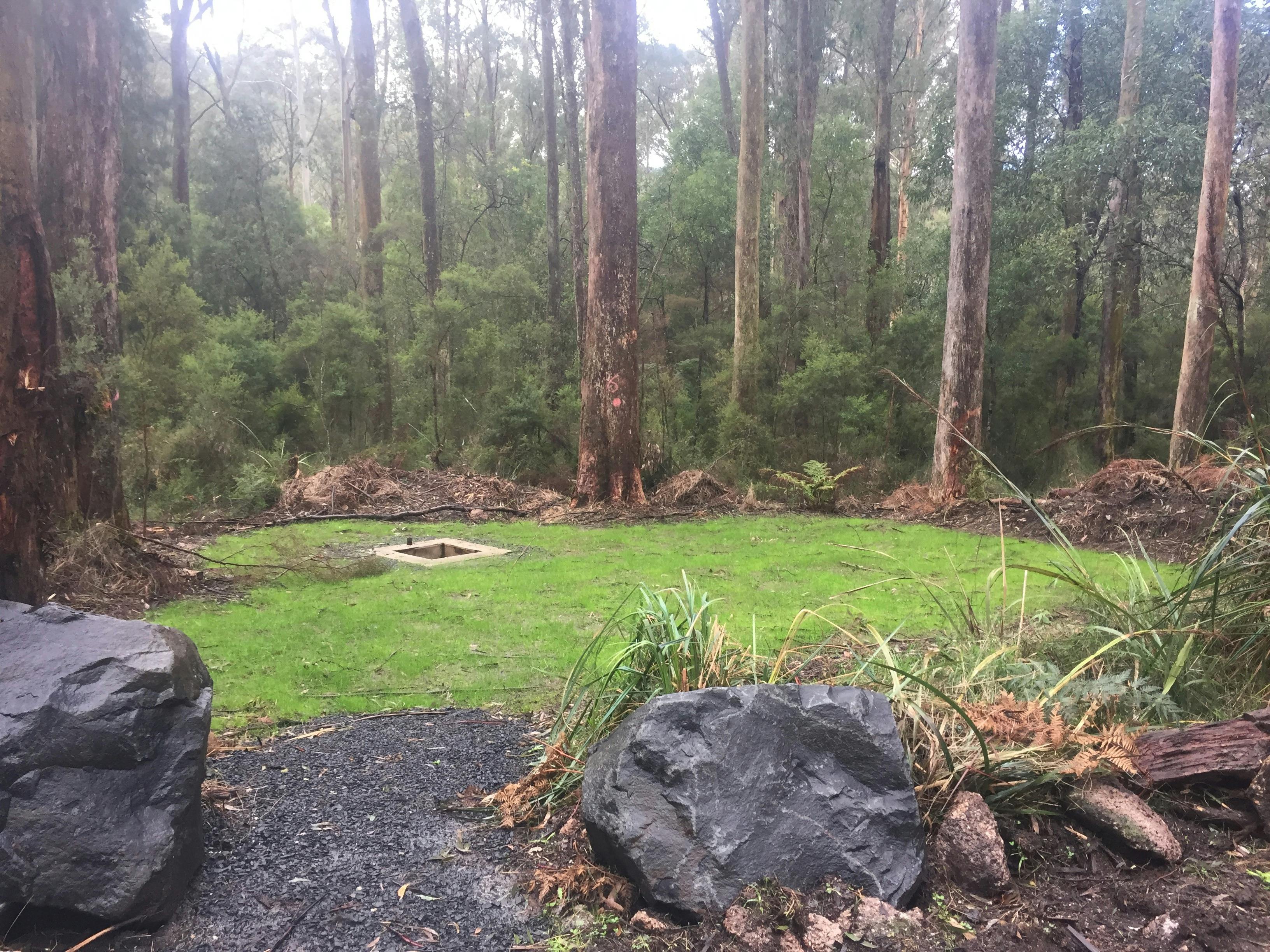 Latrobe River campground - campsite