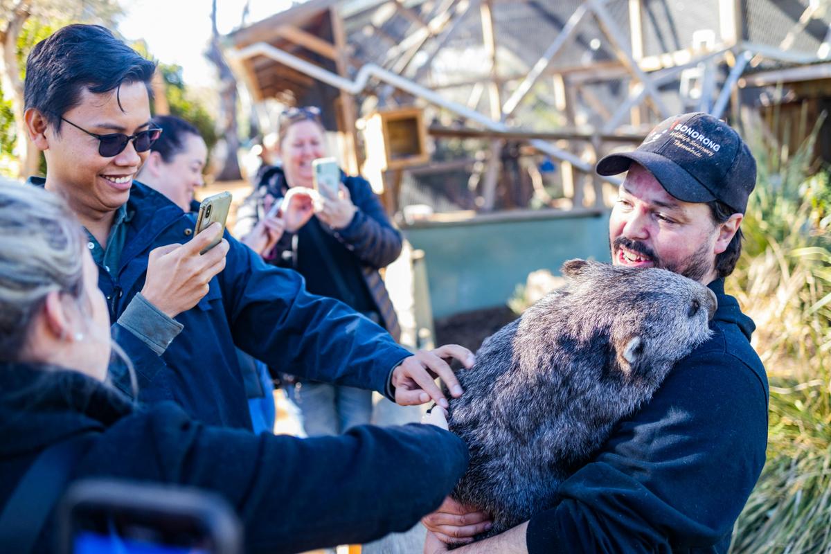 exclusive private wildlife experience