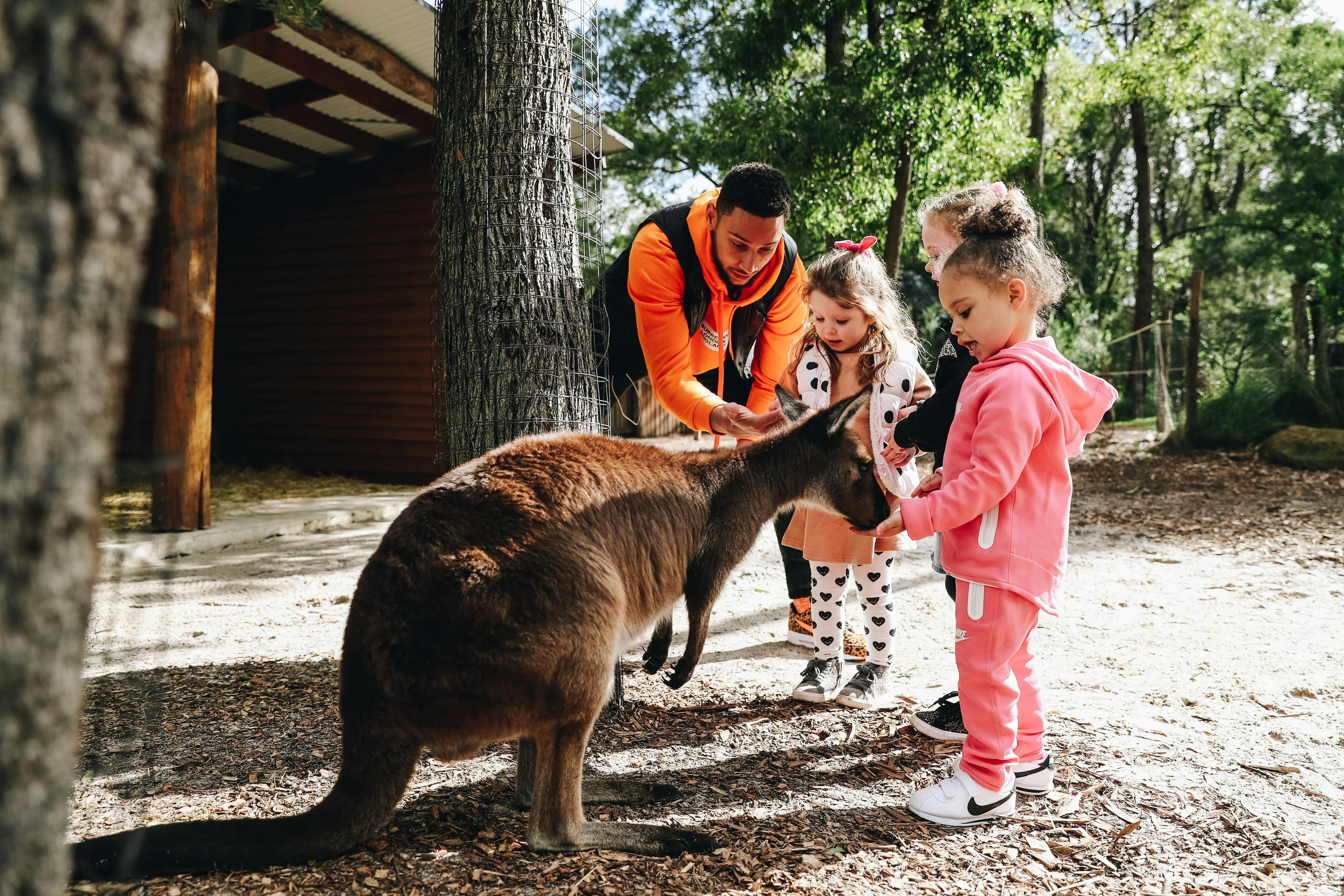 private wildlife experiences australia
