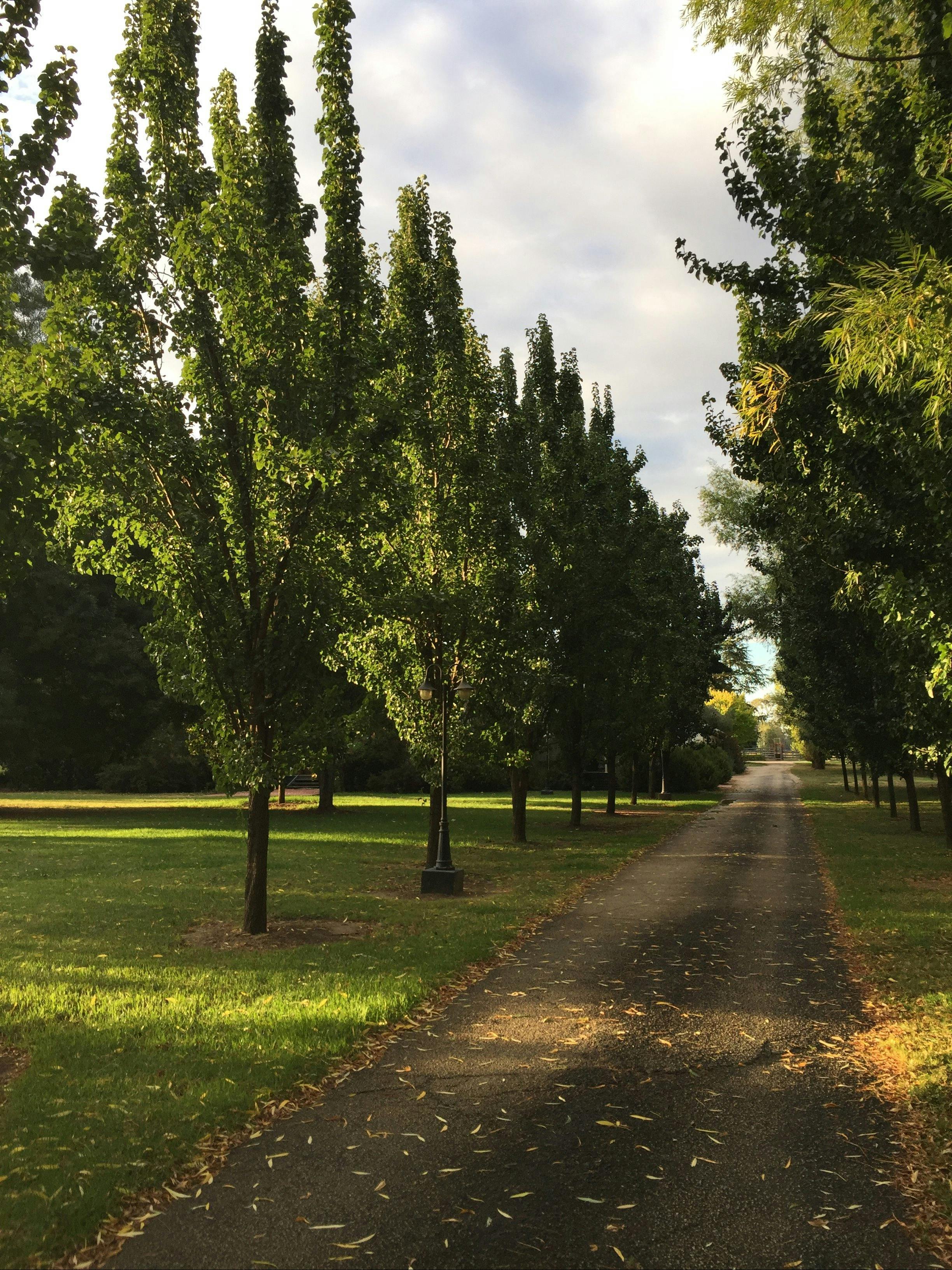 King River Cottage entrance