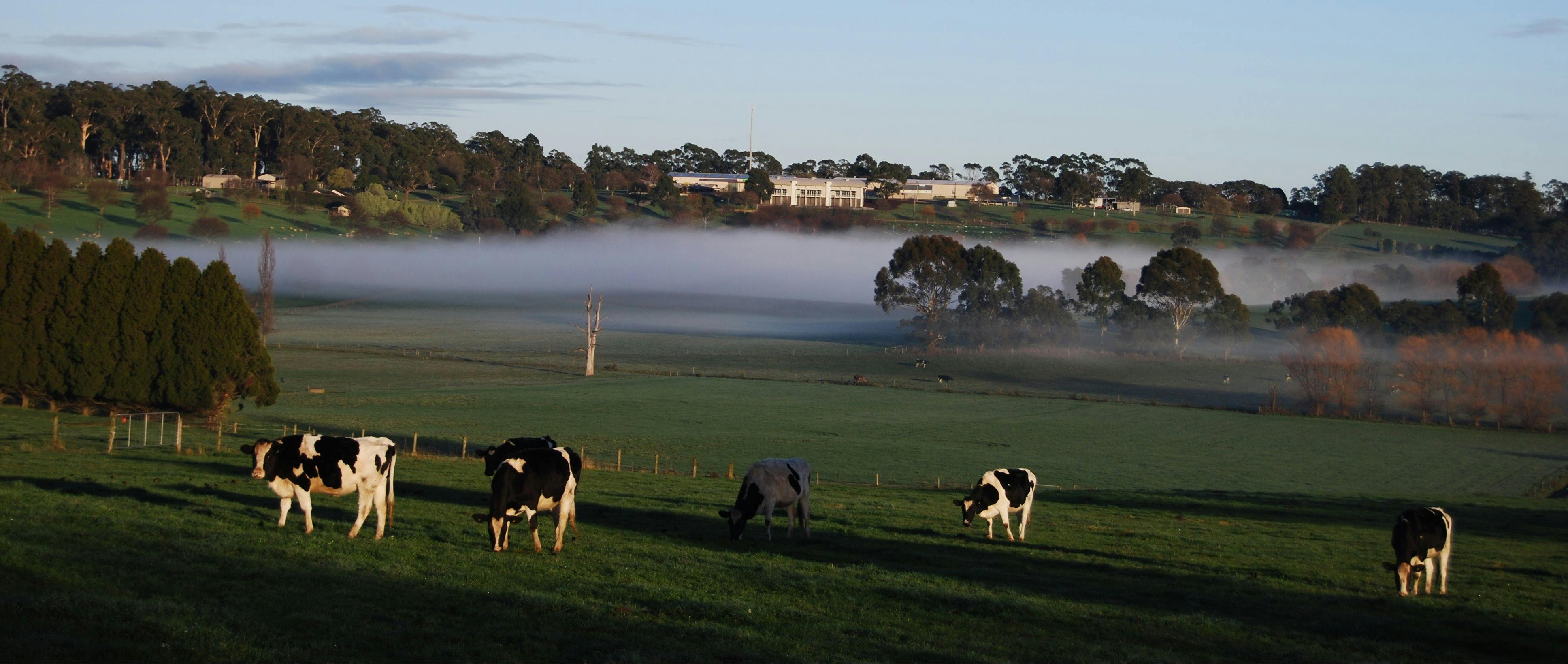 Lardner Park farm life