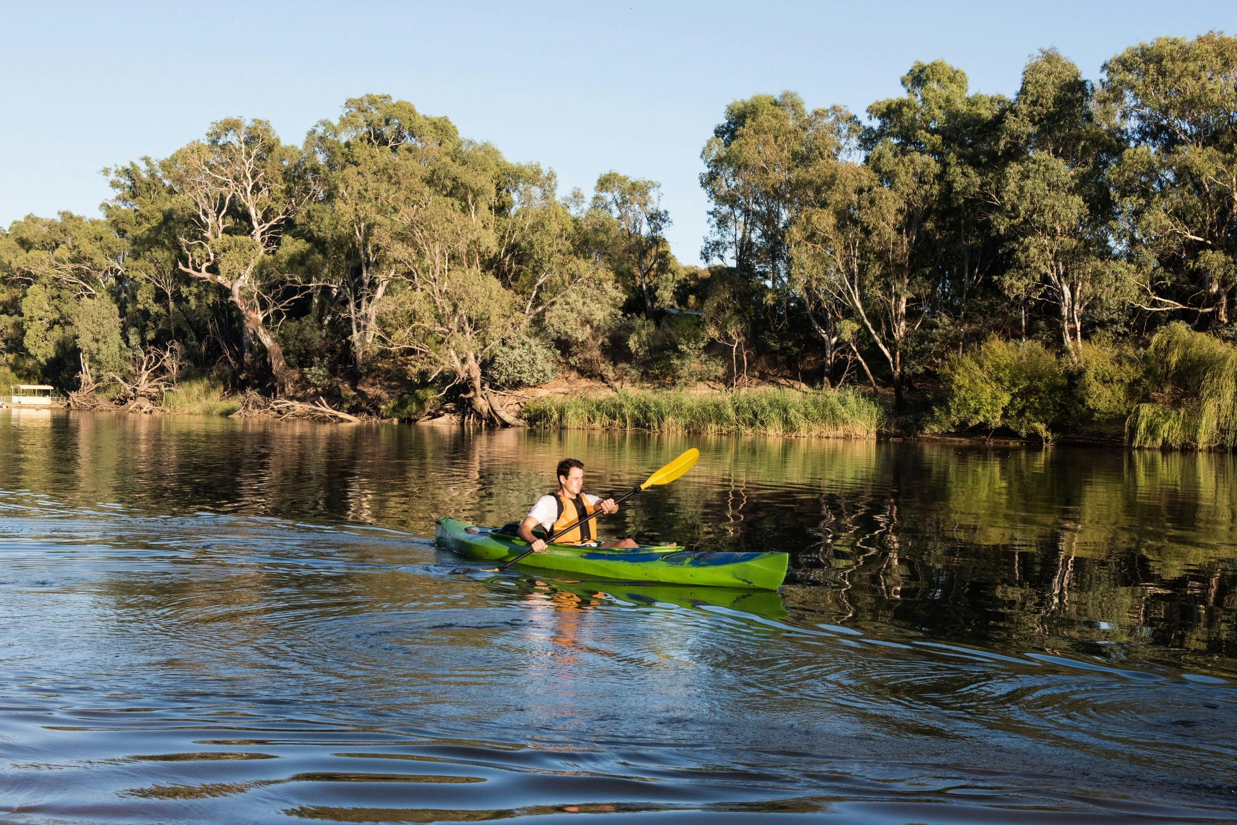 Murray river kayaking