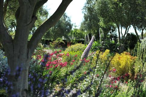 Lambley Nursery and Gardens