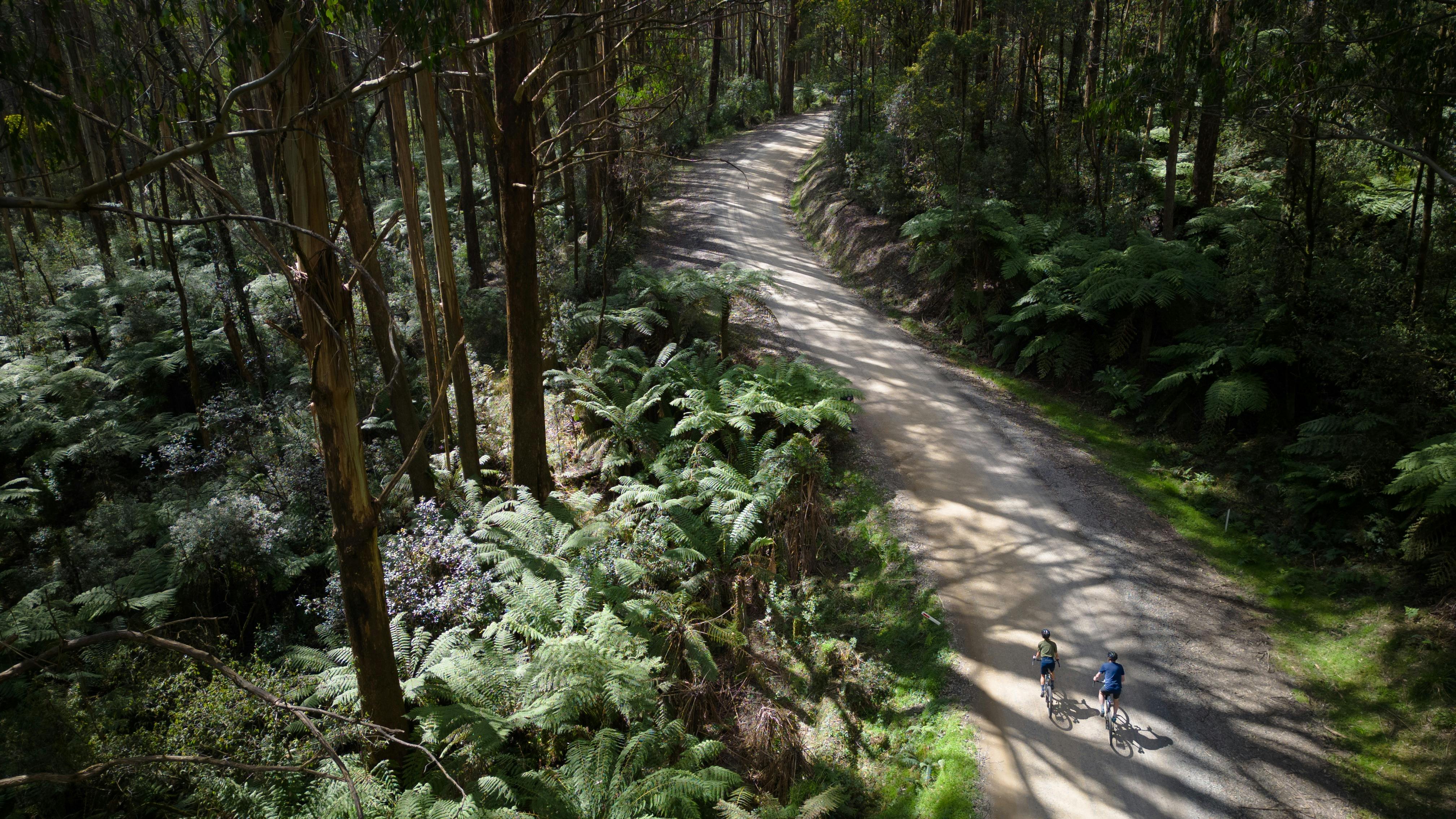 Gravel riding in Kinglake