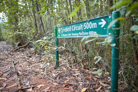 Lyrebird Circuit Walk