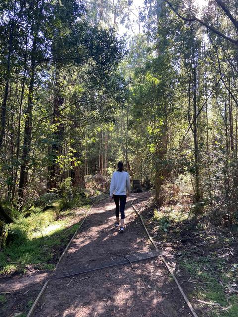 Lyrebird Circuit Walk