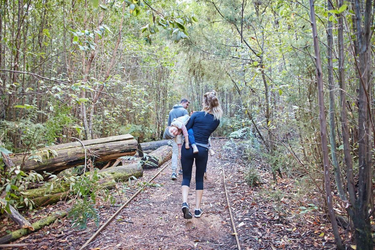 Lyrebird Circuit