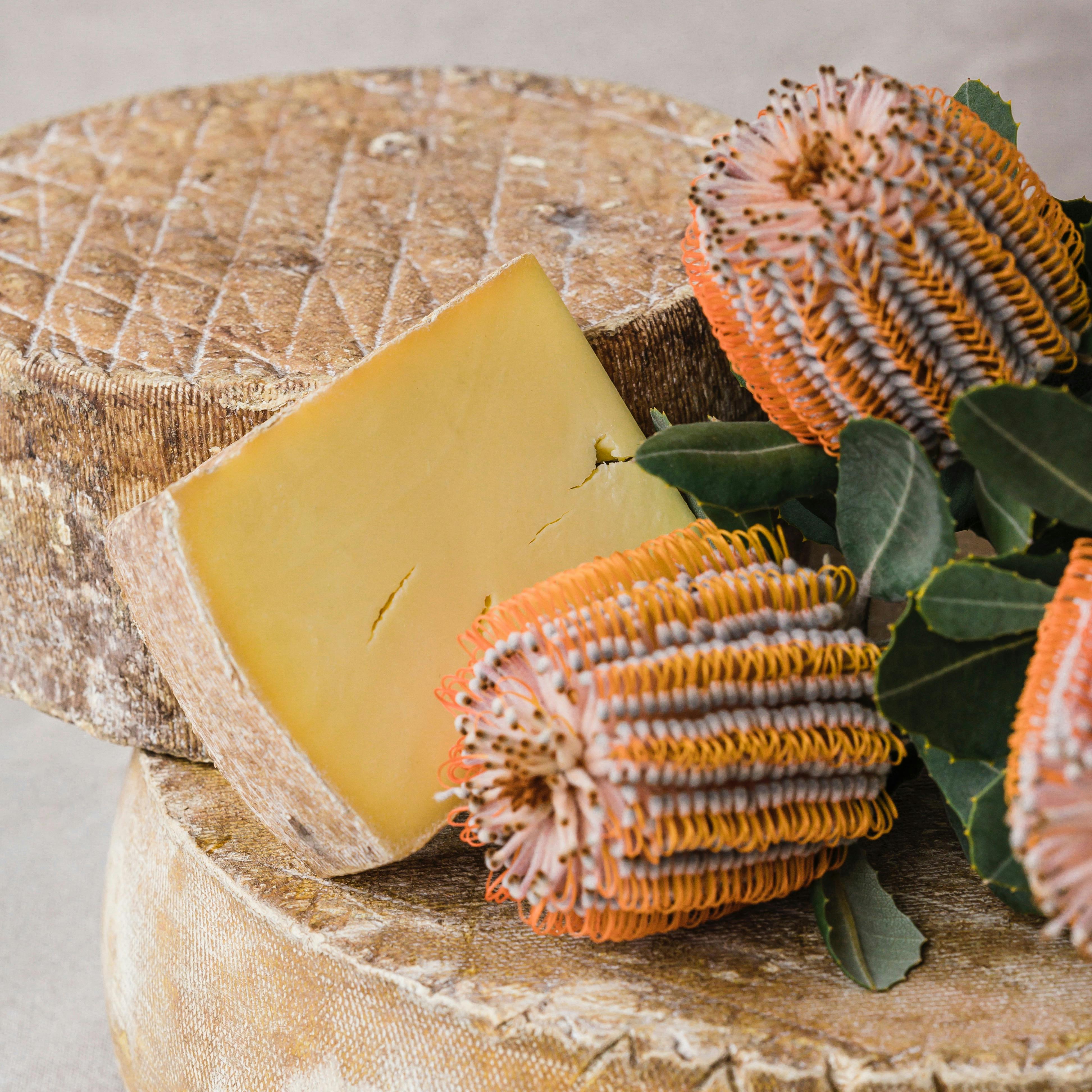 Banksia cheese