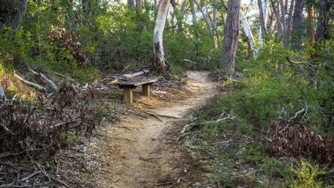 Koala Park (Creswick Regional Park)