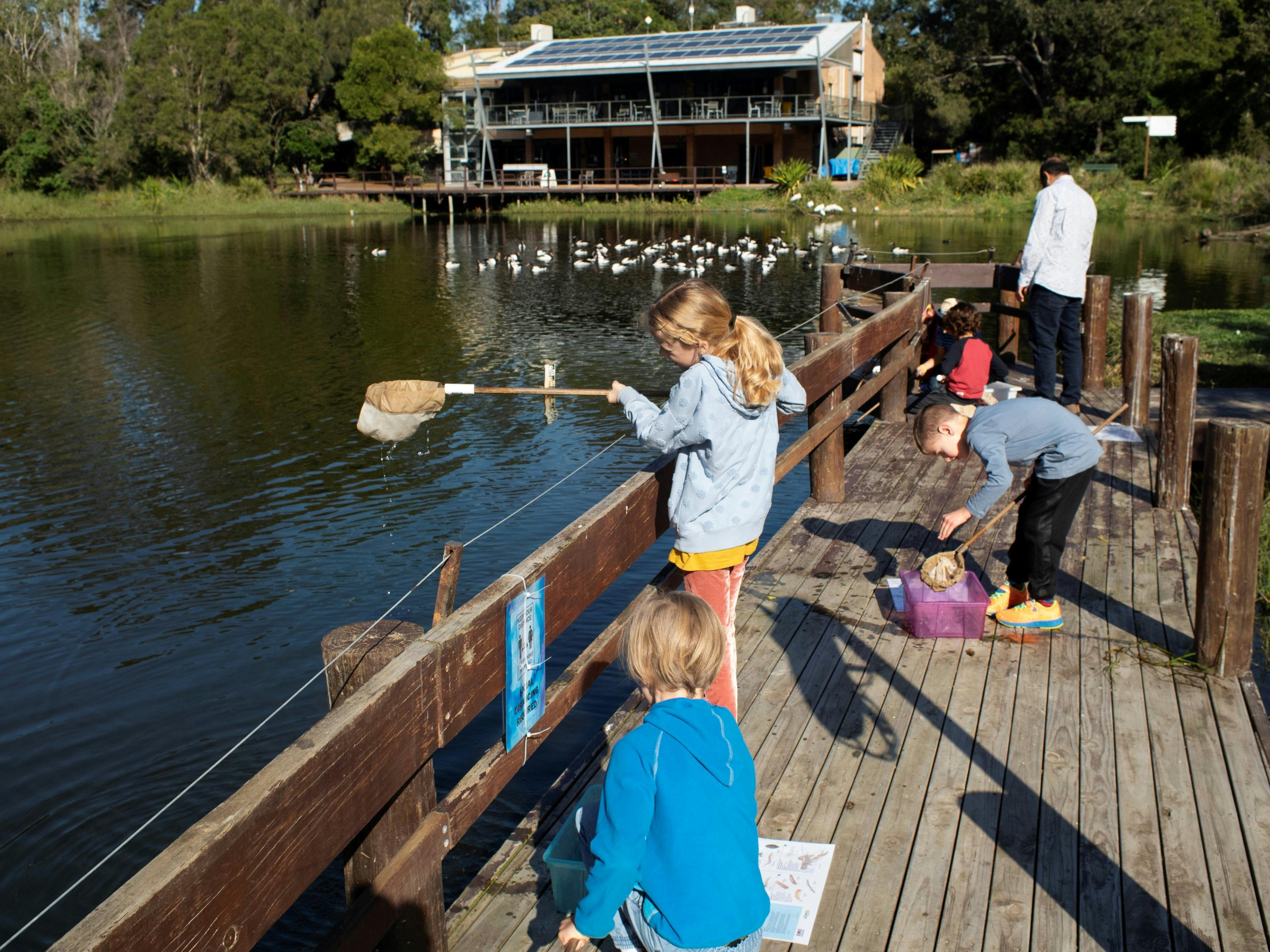 Try Dipnetting in the pond