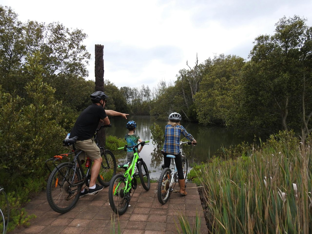 Bring your bike and cycle around the site
