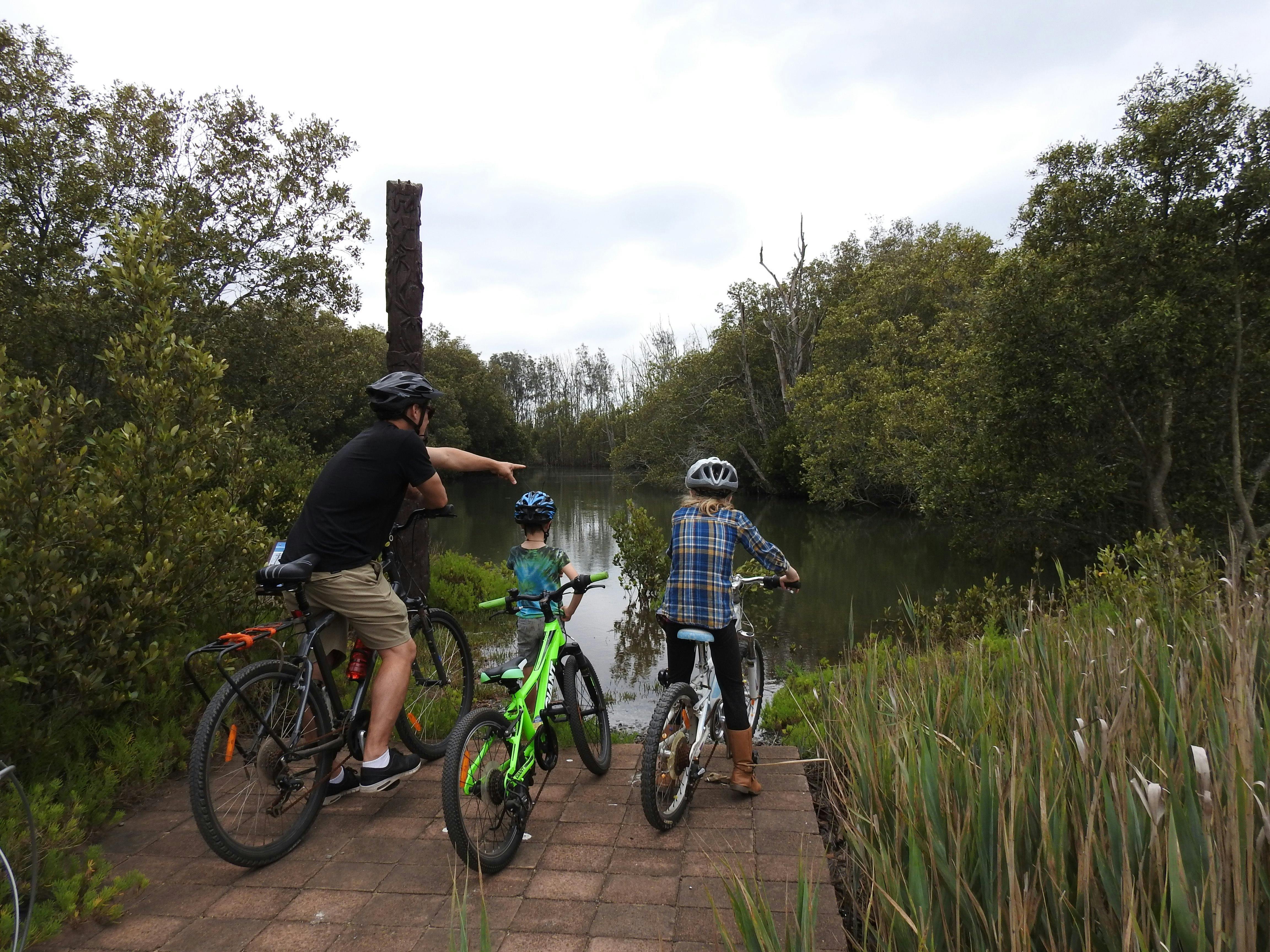 Bring your bike and cycle around the site