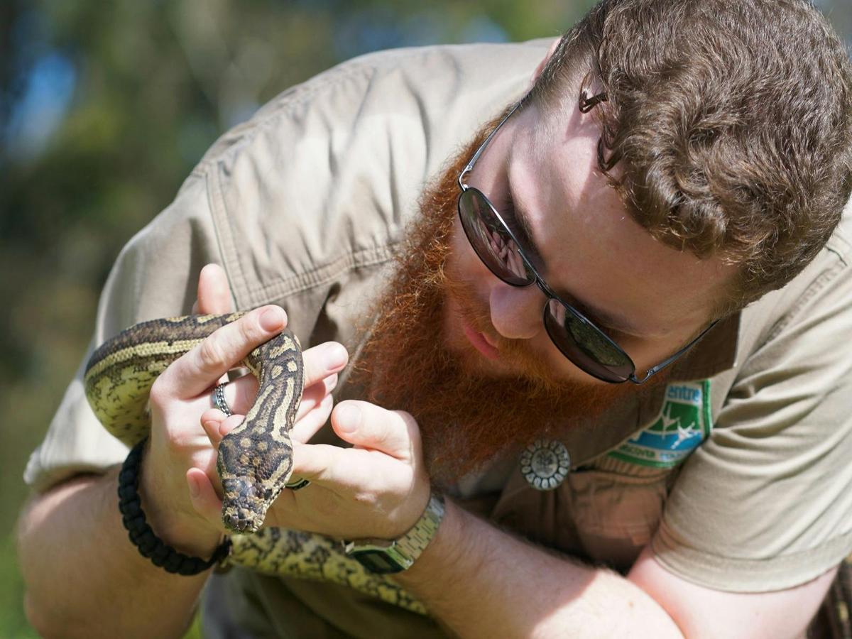 Hunter Wetlands Centre Reptile Encounter