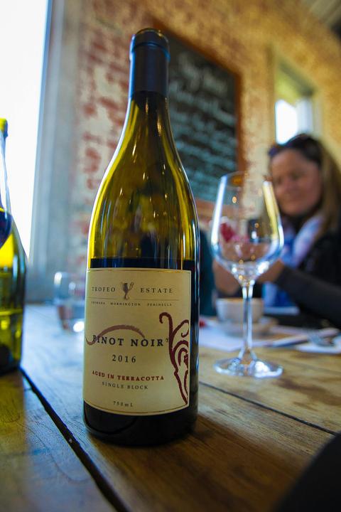 Winery Lunch at Trofeo