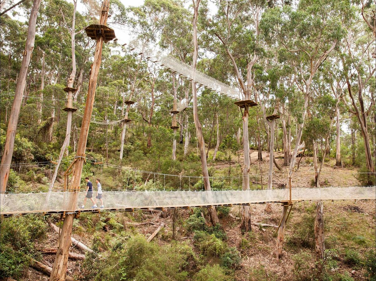 Live Wire Park