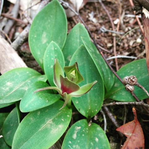 Lerderderg State Park