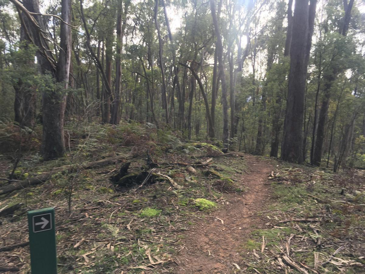Walking Track