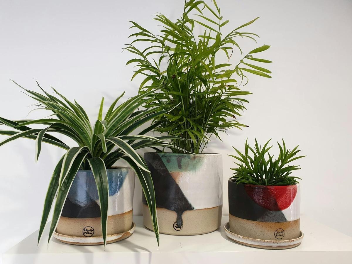 Gorgeous stoneware planters in a range of colours and sizes to suit any home or garden