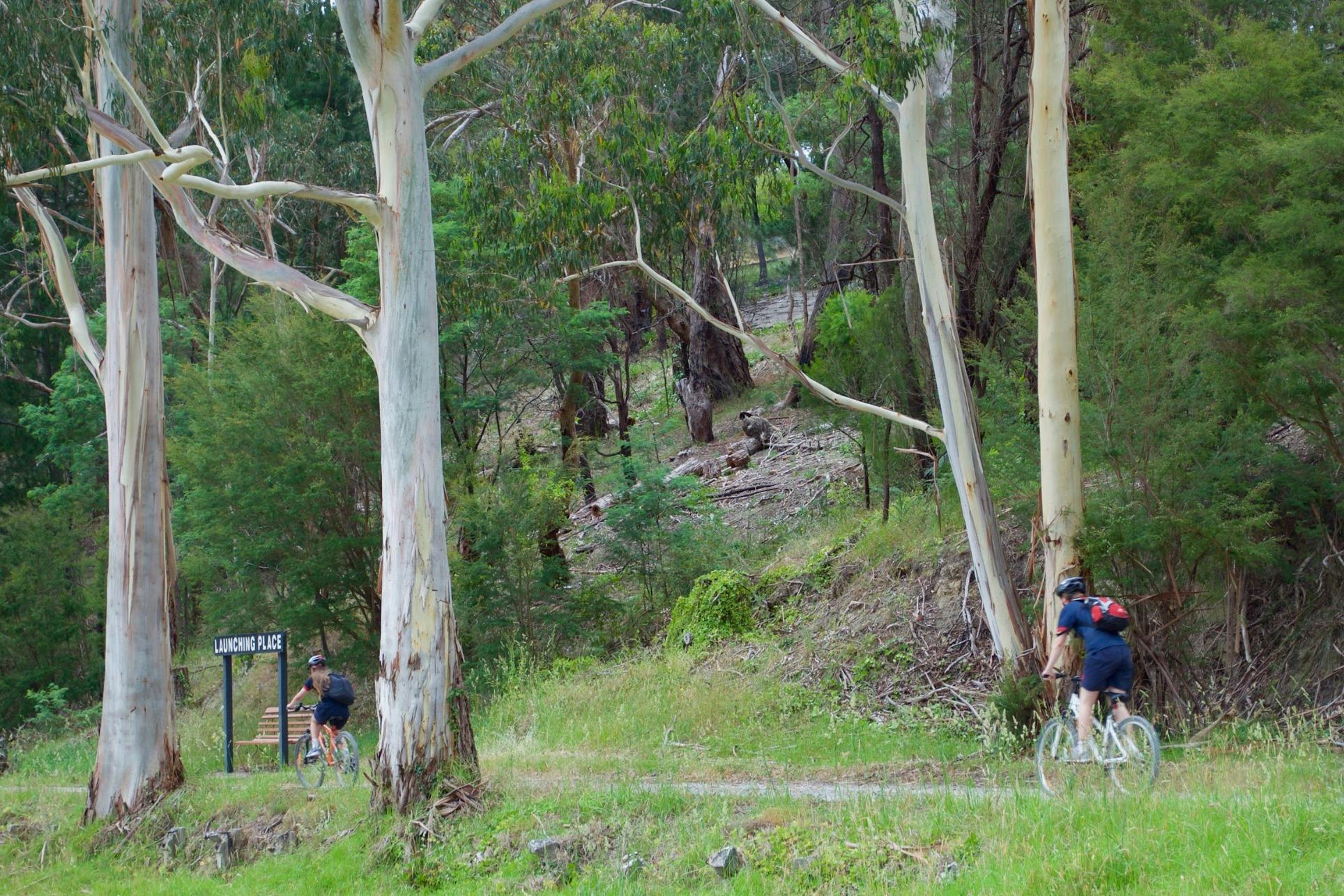 Lilydale to Warburton Rail Trail