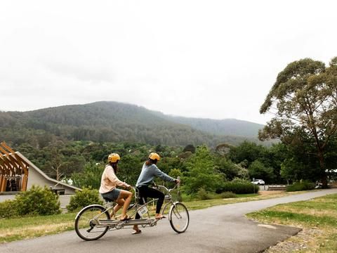 Lilydale to Warburton Rail Trail