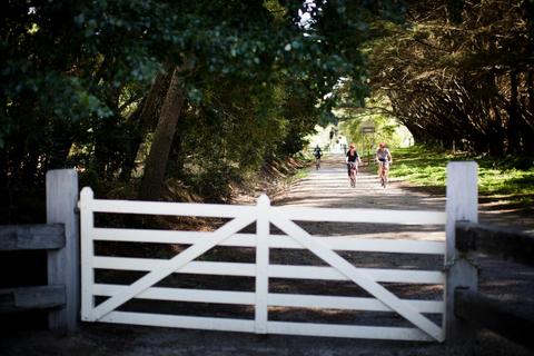 Lilydale to Warburton Rail Trail