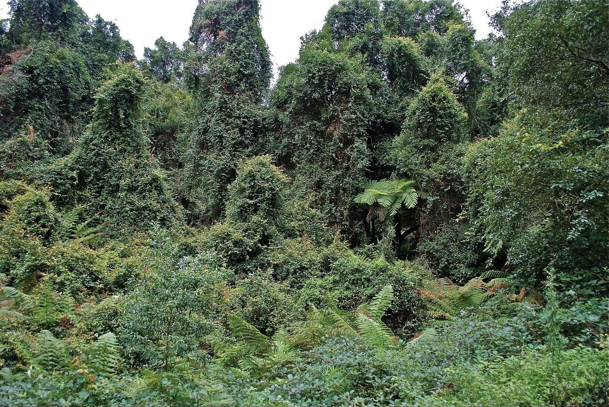 Lind National Park