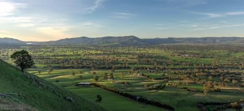 Mansfield Bushwalks - The Paps Walk