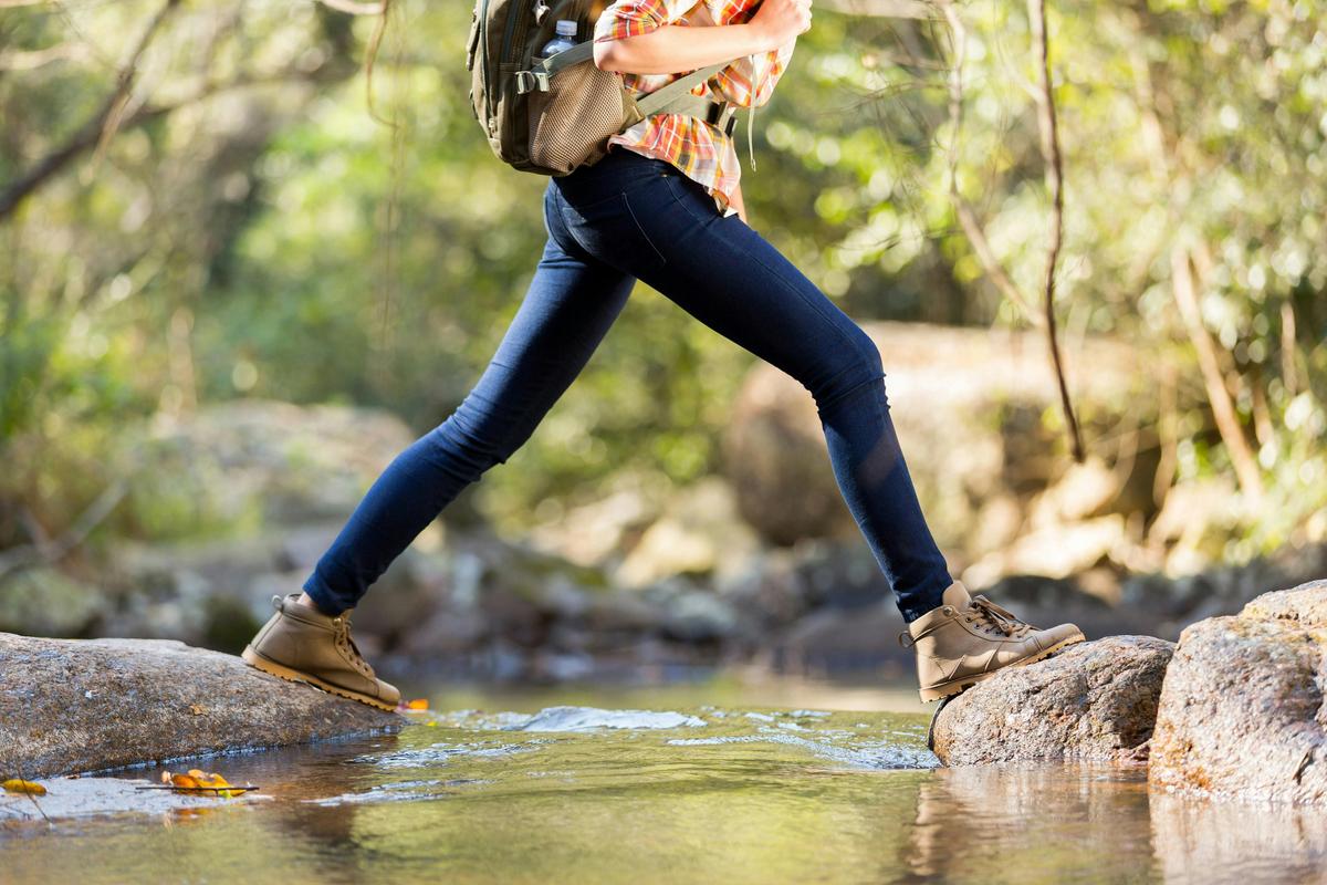 Discover hidden gems on a guided Mansfield Bushwalks Tour