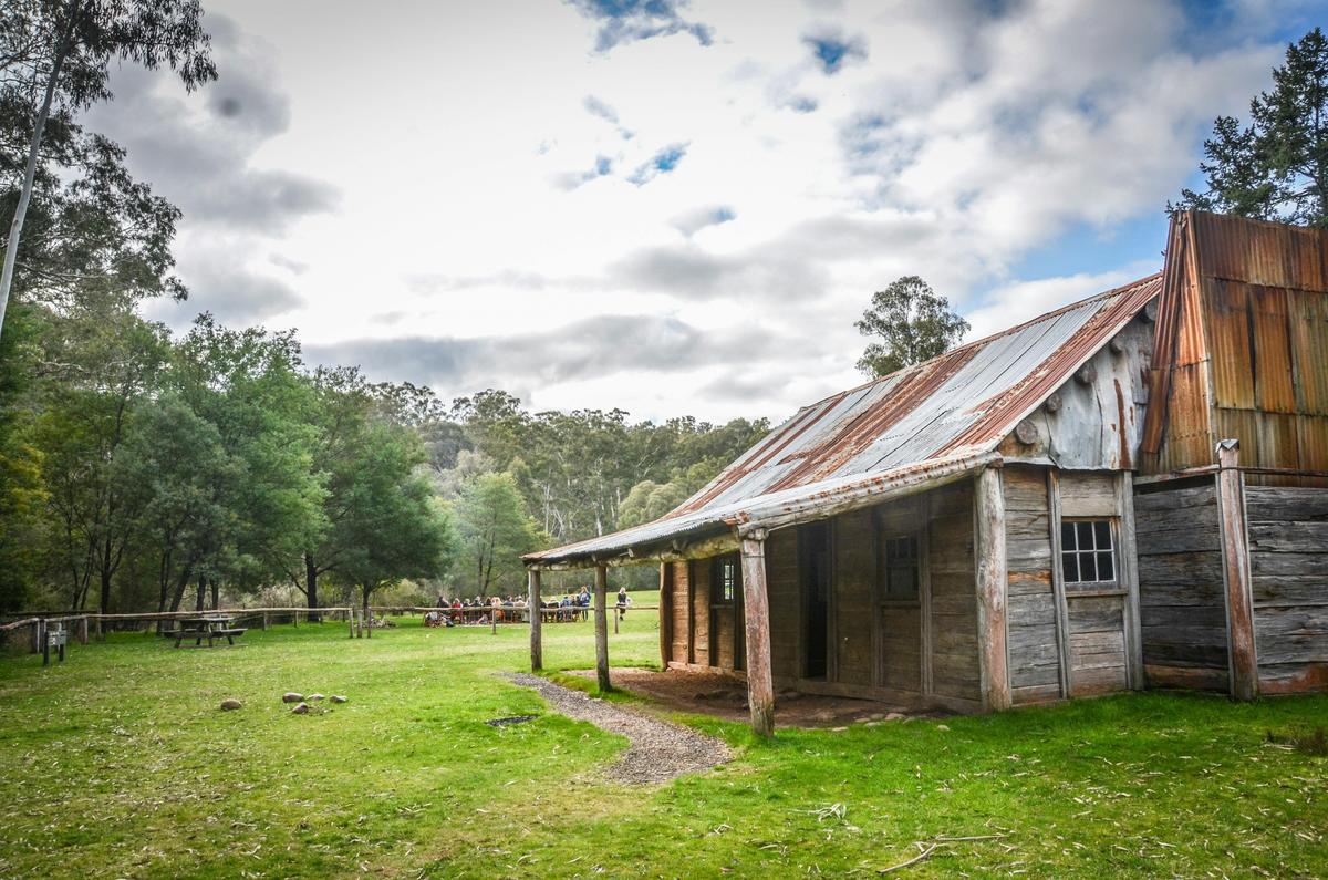 Mansfield Bushwalks ~ Howqua Hills Historic Tour