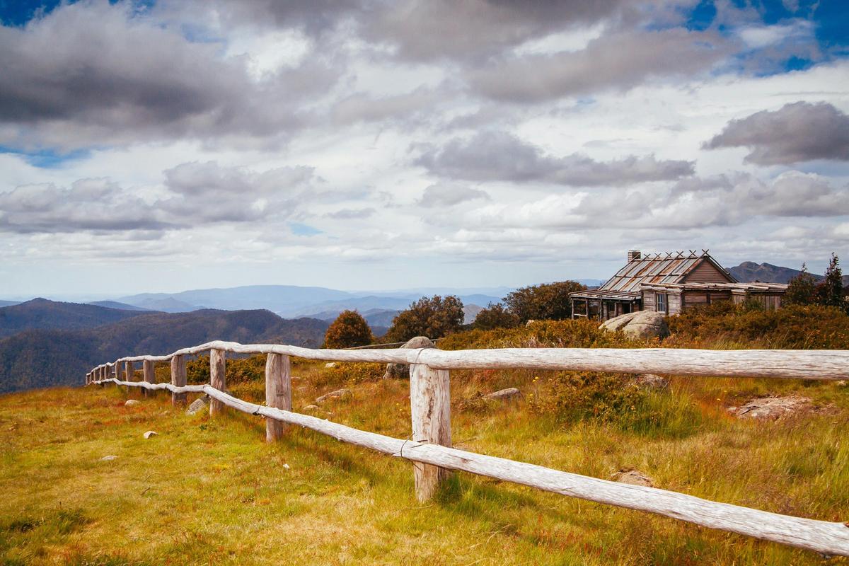 Mansfield Bushwalks Victoria - Bindaree Falls & Craigs Hut Local Walking Tour