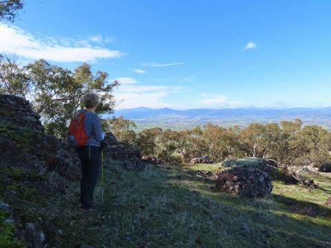 Mansfield Bushwalks Victoria Valley Views Local Discovery Walk