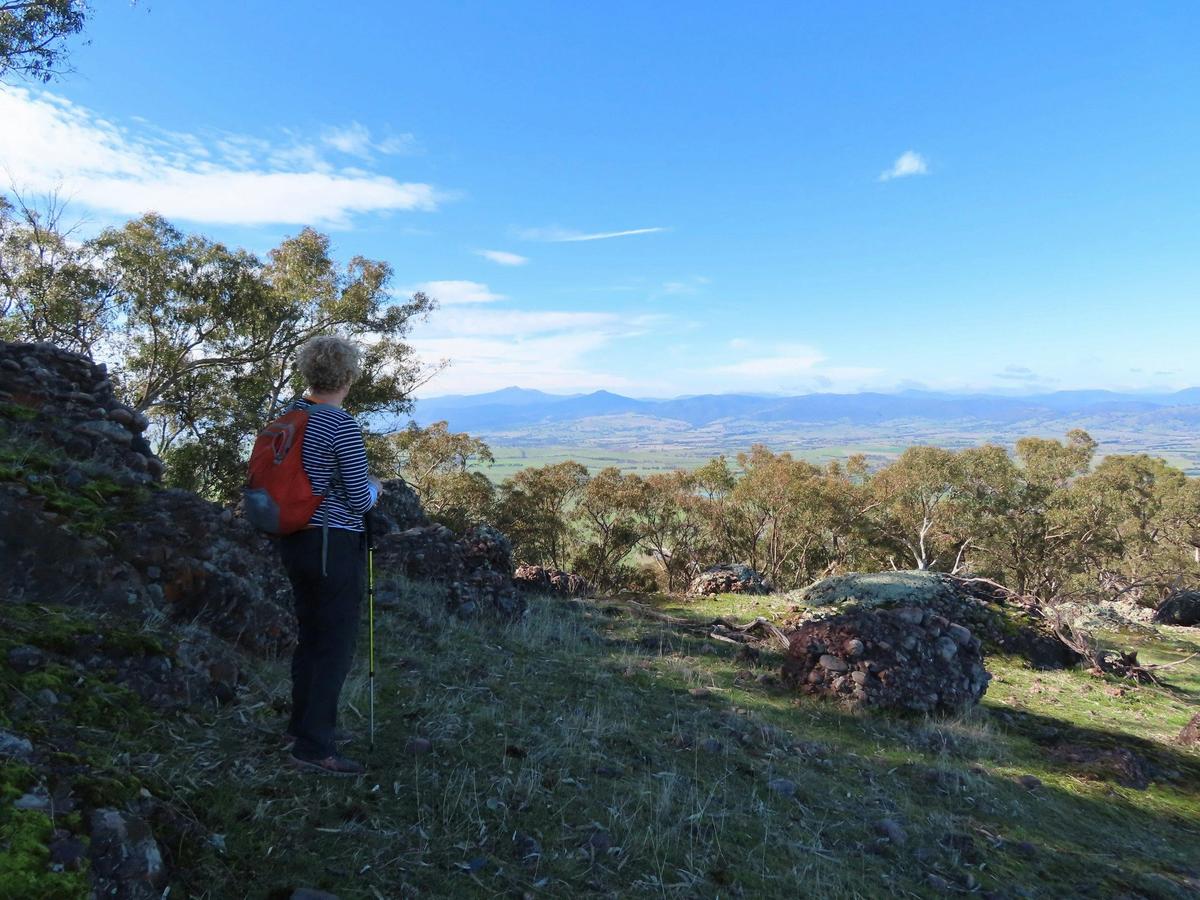 Mansfield Bushwalks Victoria Valley Views Local Discovery Walk