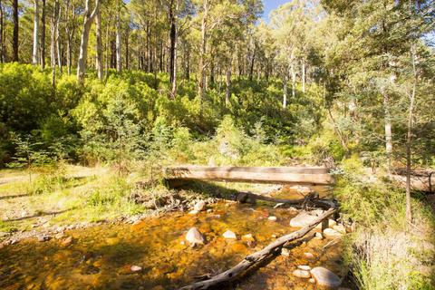 Mansfield Bushwalks Victoria Mirimbah Park & River Walk