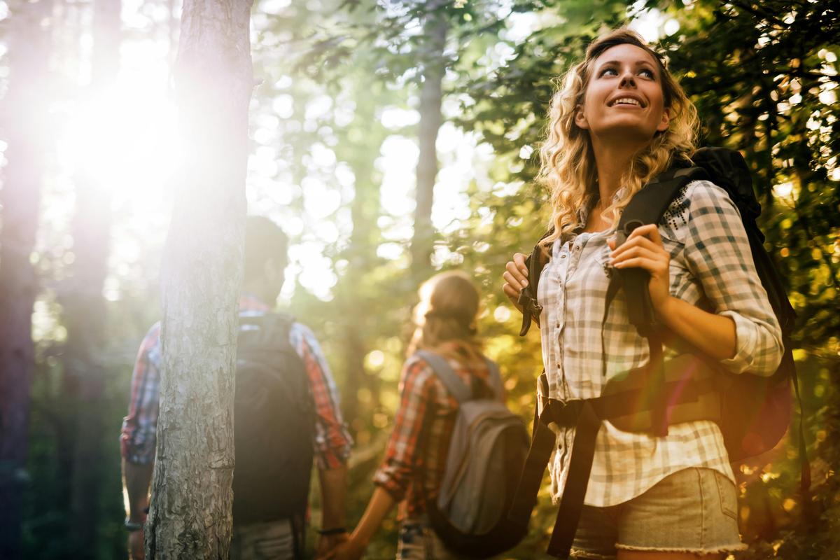Connect with Nature on a guided Mansfield Bushwalks