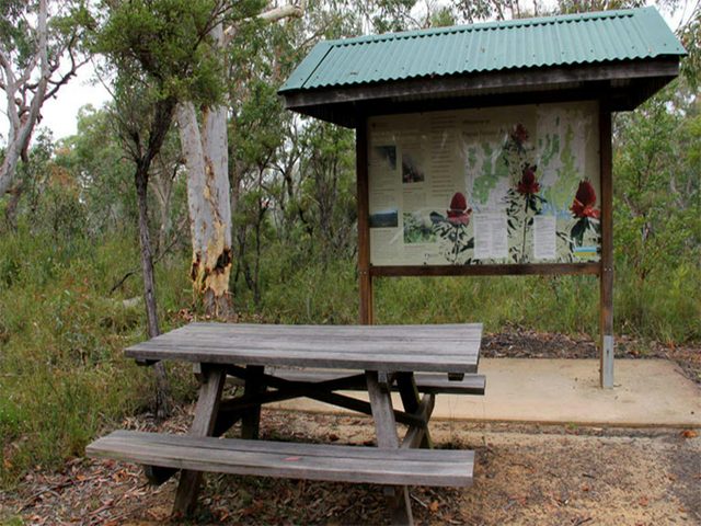 Ironbark picnic area