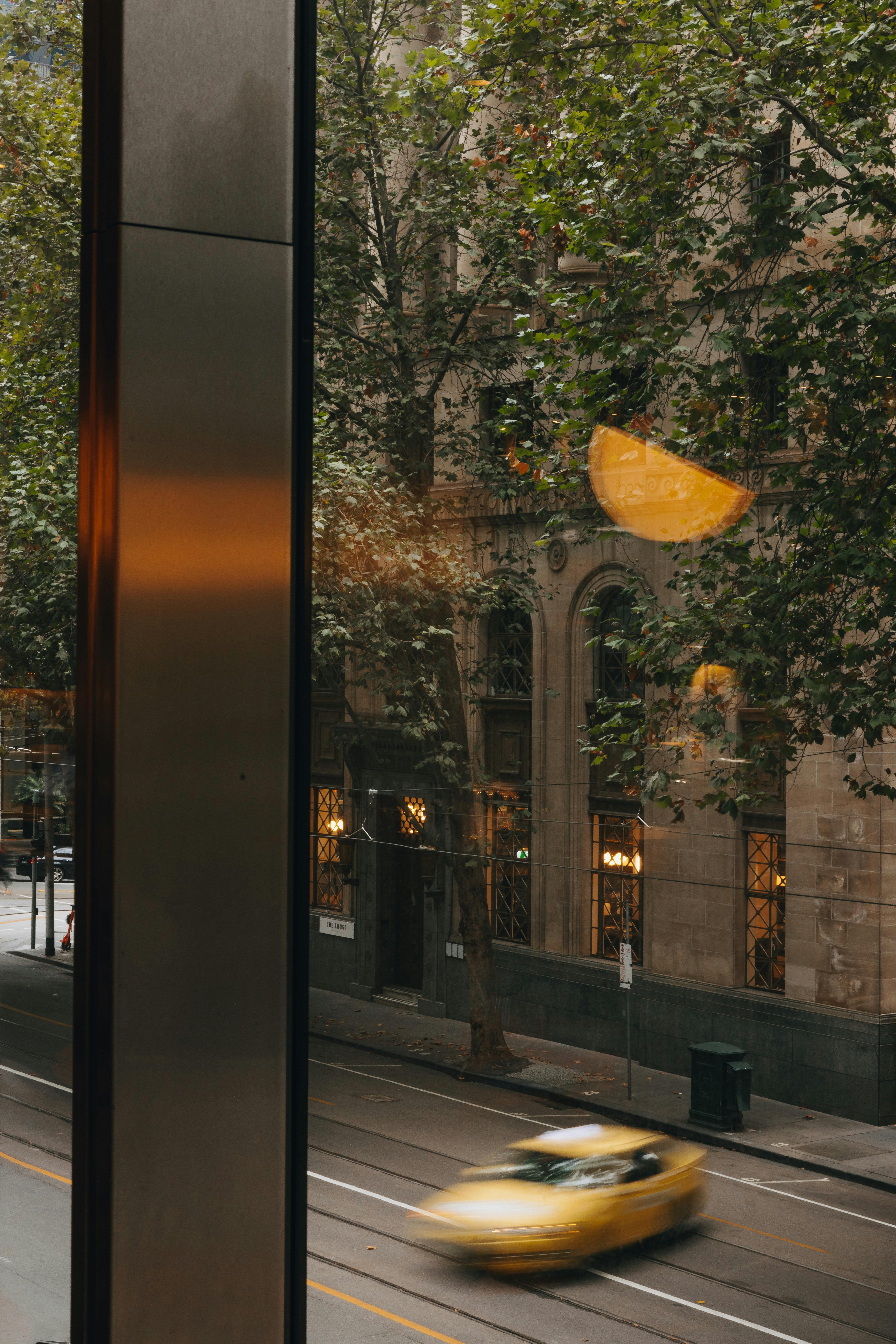 Lollo at W Melbourne