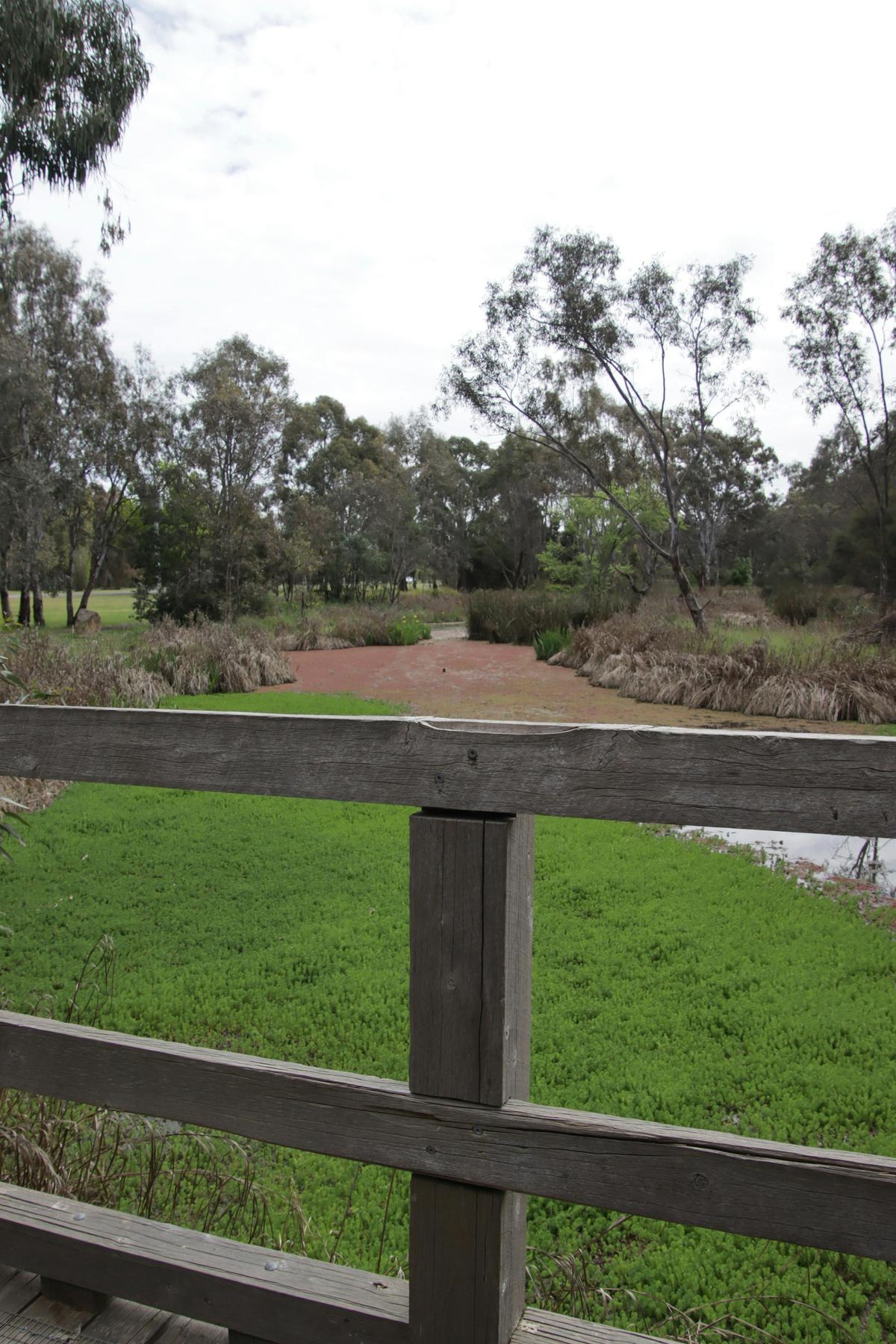 Mansfield Mullum Wetlands