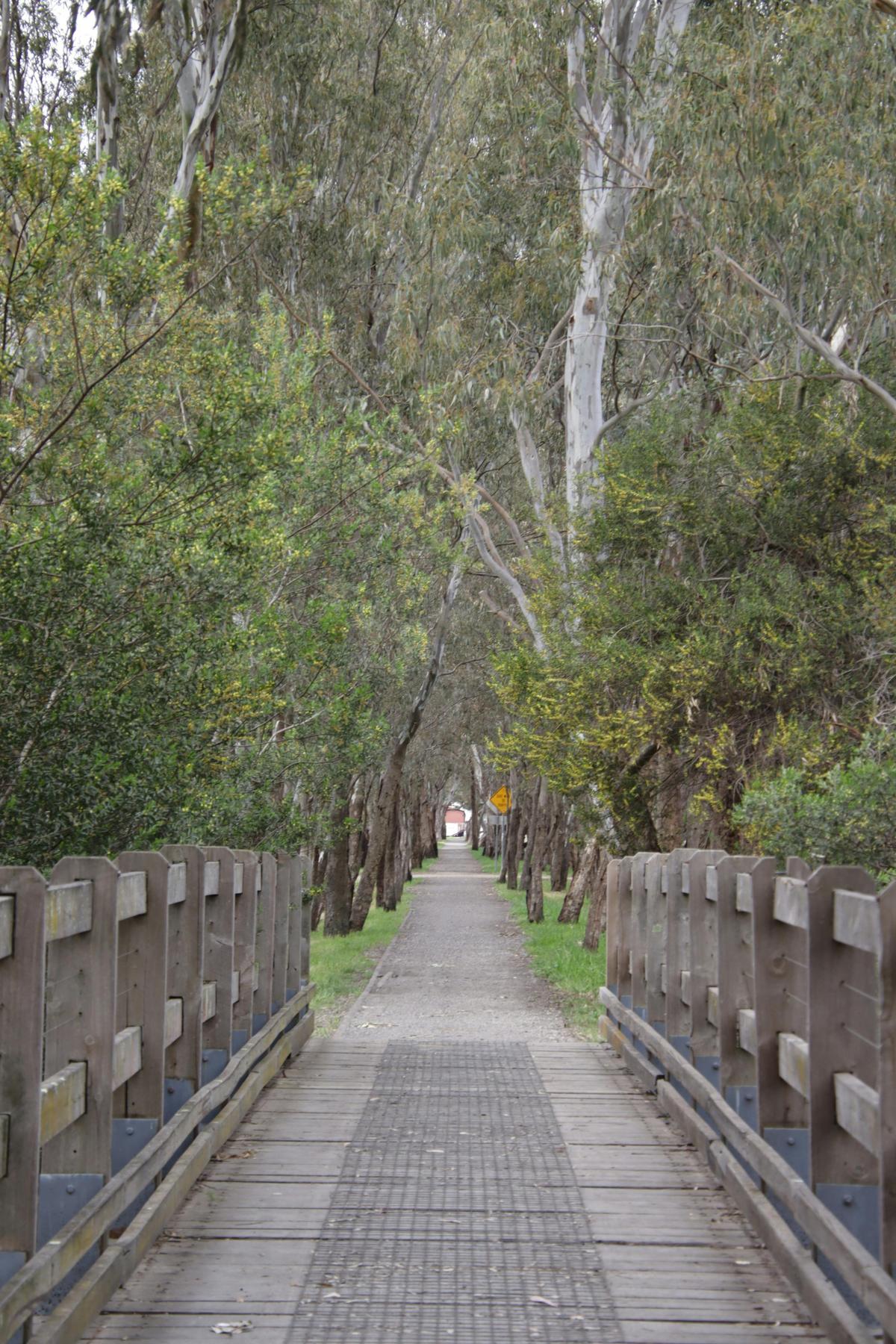 Mansfield Mullum Wetlands