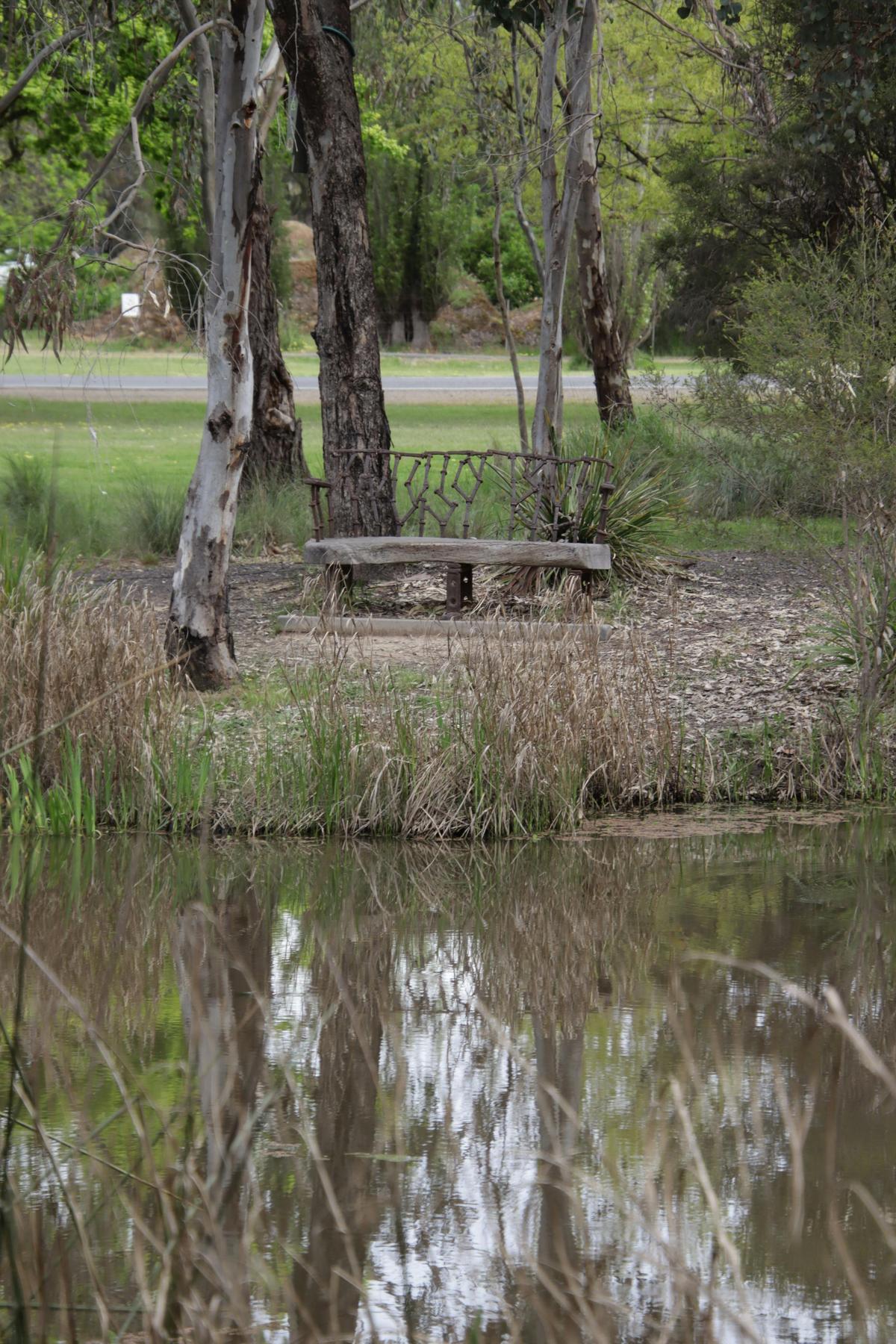 A Rustic chair overlooking the water