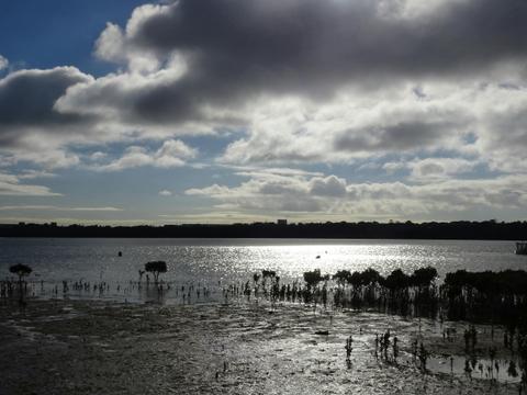 Marine Parade (Hastings Foreshore Reserve) Circuit Walk