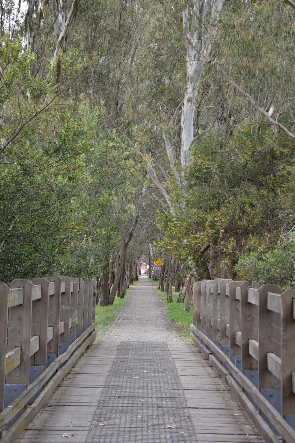 Mansfield Mullum Wetlands Walk